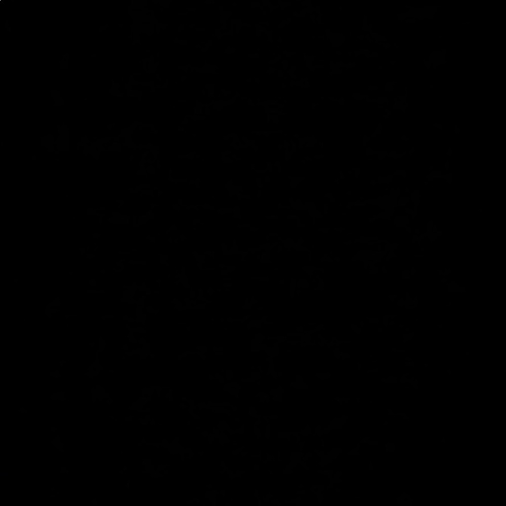 Meet your Posher, Gianna